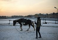 Прогулка на лошадях
